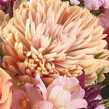 Berry Cobbler Bouquet –  Maroa Miami Llc, Miami FL