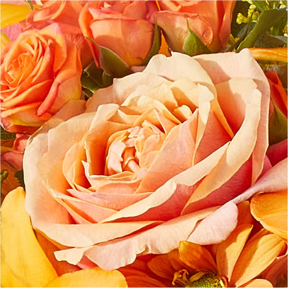 Harvest Hayride Bouquet –  Maroa Miami Llc, Miami FL