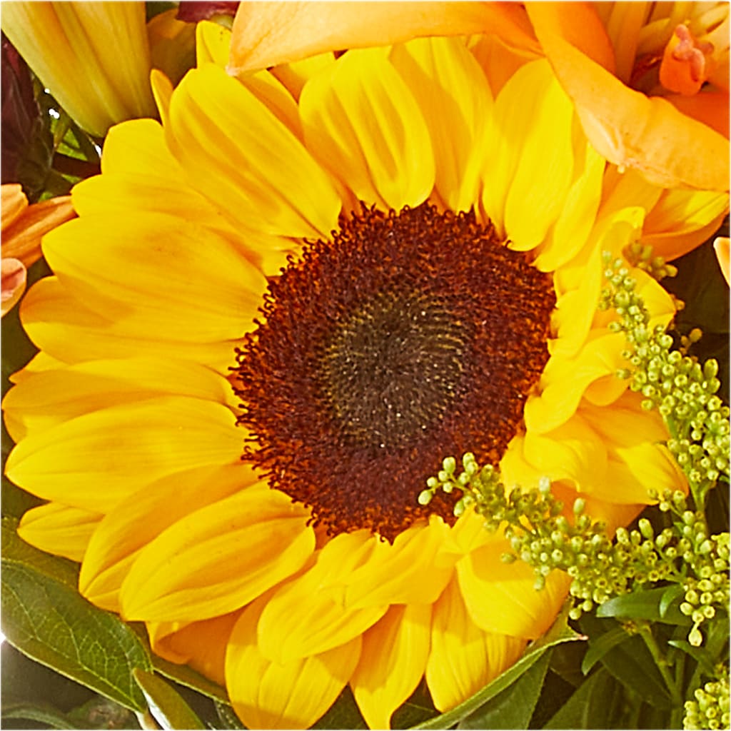 Seasons Change Bouquet –  Maroa Miami Llc, Miami FL