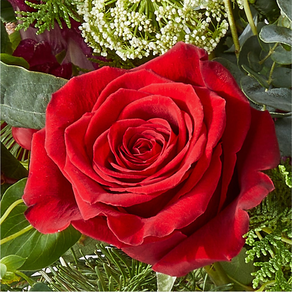 Cranberry Fizz Bouquet –  Maroa Miami Llc, Miami FL