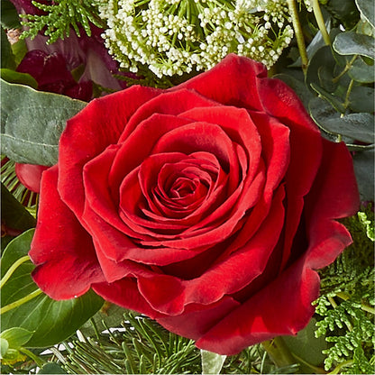 Cranberry Fizz Bouquet –  Maroa Miami Llc, Miami FL