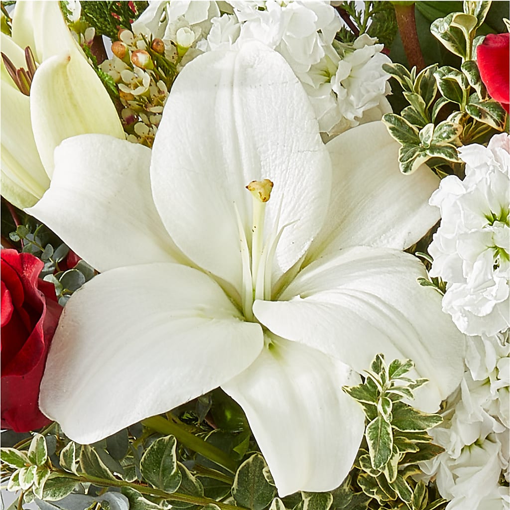 Twinkle Lights Bouquet –  Maroa Miami Llc, Miami FL