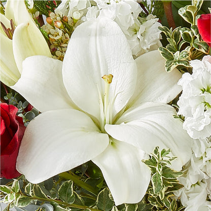 Twinkle Lights Bouquet –  Maroa Miami Llc, Miami FL