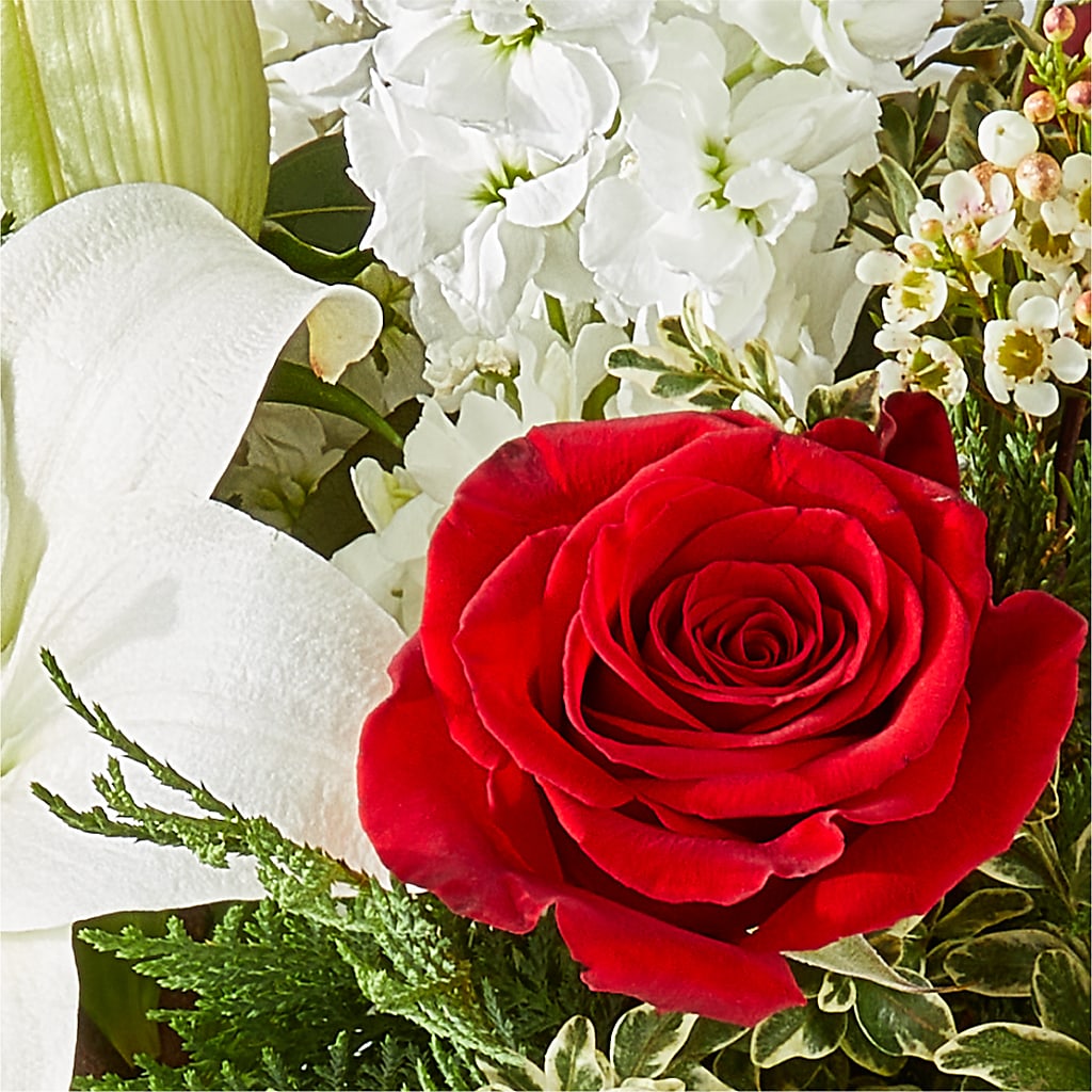 Twinkle Lights Bouquet –  Maroa Miami Llc, Miami FL