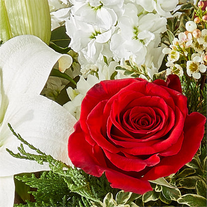 Twinkle Lights Bouquet –  Maroa Miami Llc, Miami FL