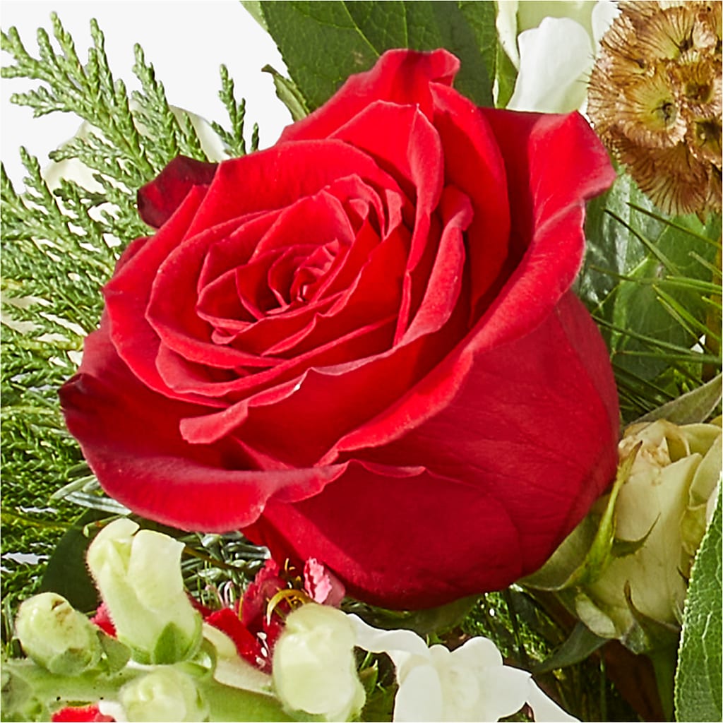 Deck the Halls Bouquet –  Maroa Miami Llc, Miami FL