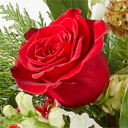 Deck the Halls Bouquet –  Maroa Miami Llc, Miami FL