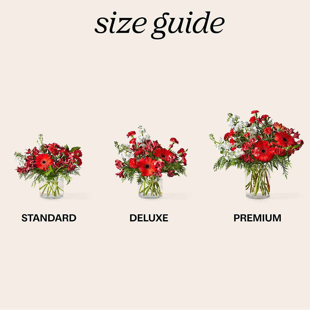 Holidaisy Bouquet –  Maroa Miami Llc, Miami FL