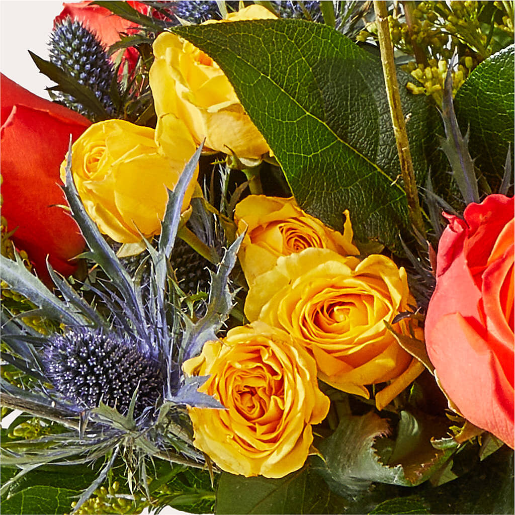 Disco Bouquet –  Maroa Miami Llc, Miami FL