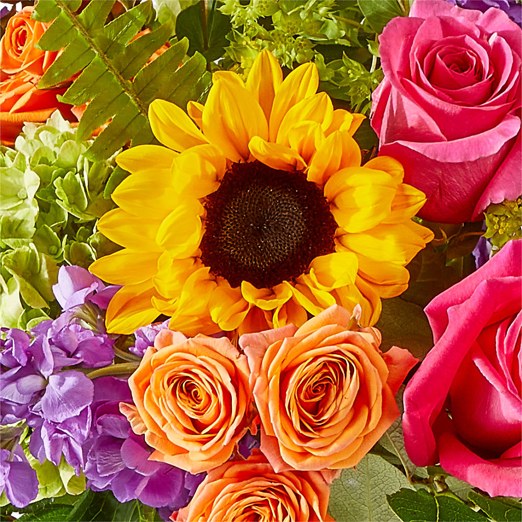 Vibrant Greetings Bouquet –  Maroa Miami Llc, Miami FL