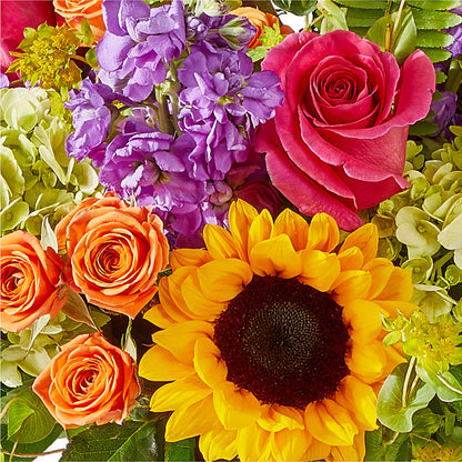 Vibrant Greetings Bouquet –  Maroa Miami Llc, Miami FL