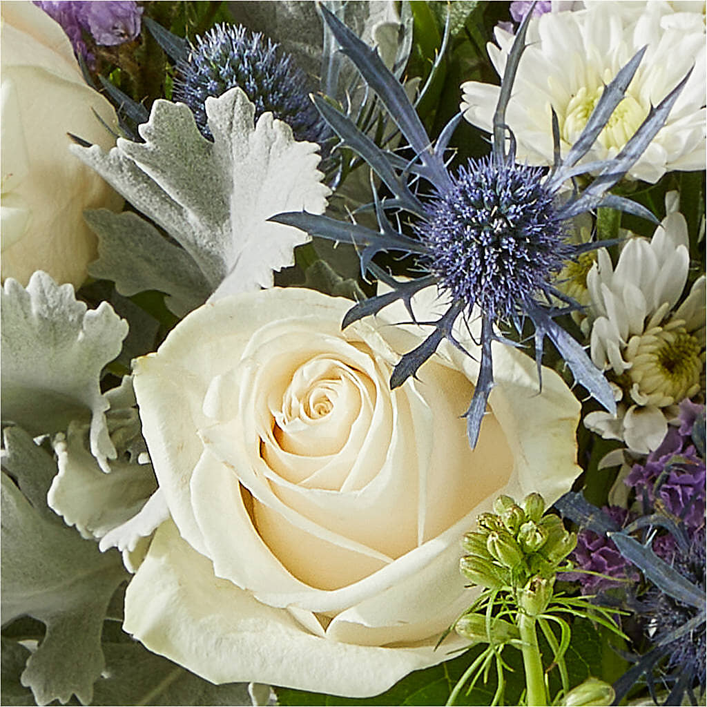 Shooting Star Bouquet –  Maroa Miami Llc, Miami FL