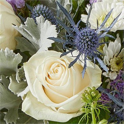 Shooting Star Bouquet –  Maroa Miami Llc, Miami FL