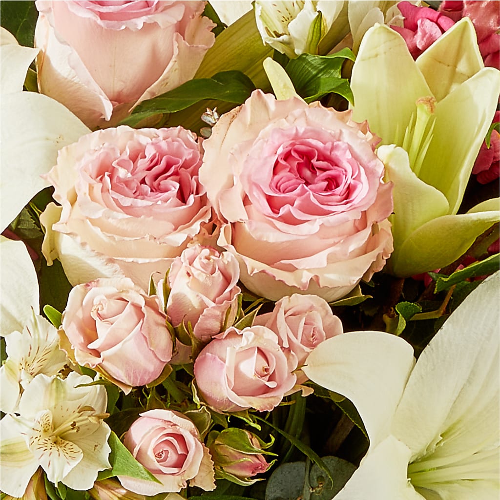 Ballet Slippers Bouquet –  Maroa Miami Llc, Miami FL