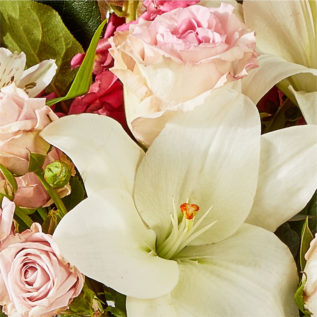 Ballet Slippers Bouquet –  Maroa Miami Llc, Miami FL