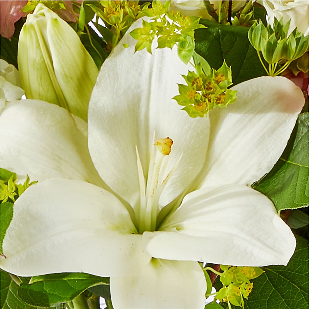 Fondly Bouquet –  Maroa Miami Llc, Miami FL
