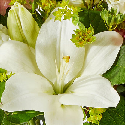 Fondly Bouquet –  Maroa Miami Llc, Miami FL