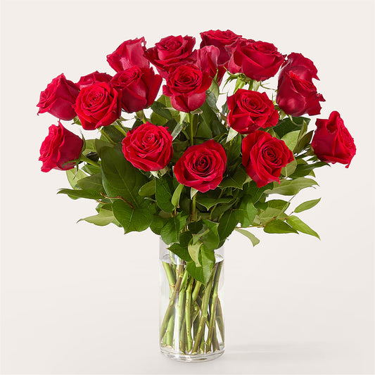 The One Red Rose Bouquet –  Maroa Miami Llc, Miami FL