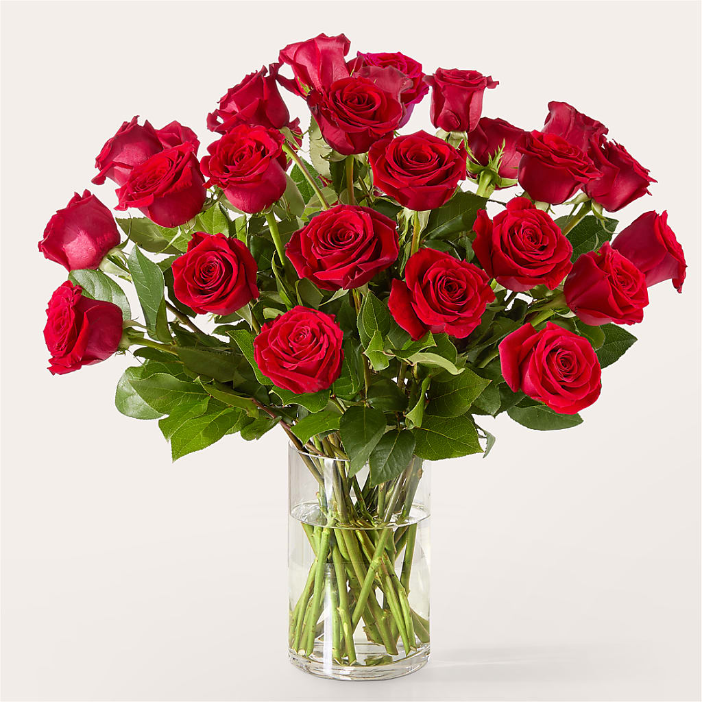 The One Red Rose Bouquet –  Maroa Miami Llc, Miami FL
