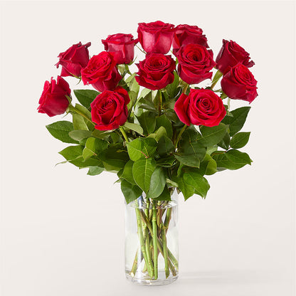 The One Red Rose Bouquet –  Maroa Miami Llc, Miami FL