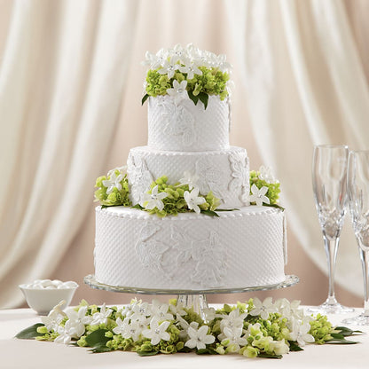Bloom & Blossom Cake Decor –  Maroa Miami Llc, Miami FL