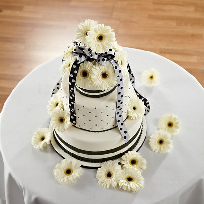 Simple Sophistication Cake Décor –  Maroa Miami Llc, Miami FL
