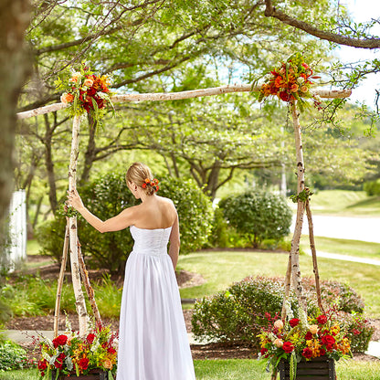 Arbor of Love Archway –  Maroa Miami Llc, Miami FL