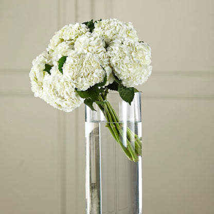 White Hydrangea Hand-Tied Bouquet –  Maroa Miami Llc, Miami FL