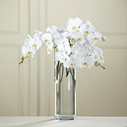 White Phalaenopsis Bouquet –  Maroa Miami Llc, Miami FL