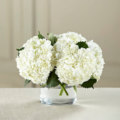 White Hydrangea Bouquet –  Maroa Miami Llc, Miami FL