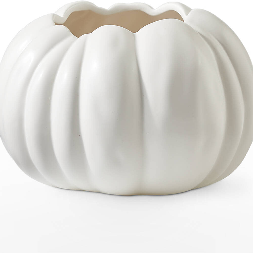 Pumpkin to Talk About Bouquet –  Maroa Miami Llc, Miami FL
